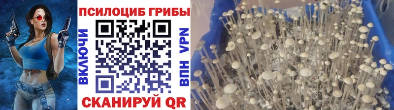 Галлюциногенные грибы прущие грибы  OMG ссылка  Горняк 