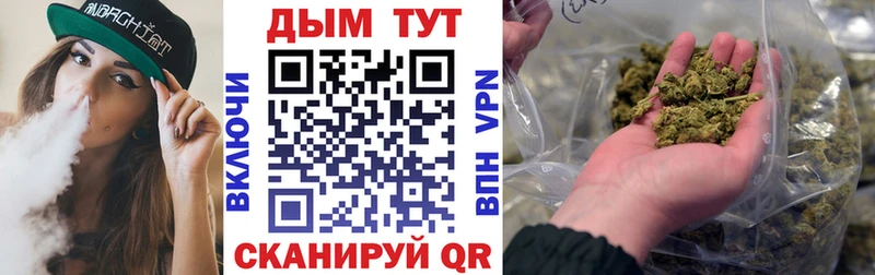 Конопля план  Горняк 